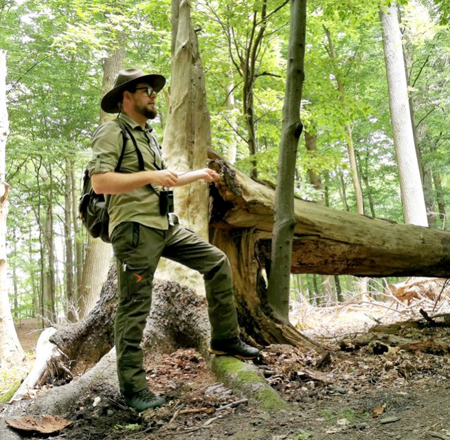 Rangerf&uuml;hrung mit einem Ranger im Naturschutzgebiet Granitz // &copy; Biosph&auml;renreservat S&uuml;dost-R&uuml;gen