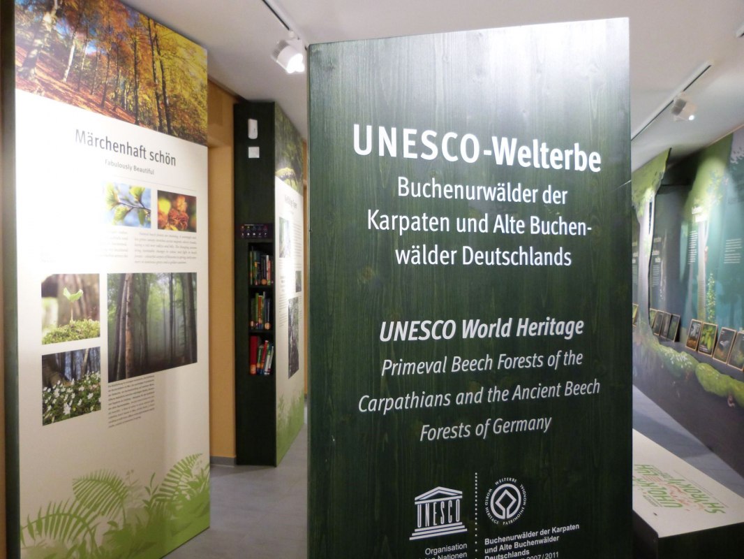 Tentoonstelling van het UNESCO Werelderfgoed Forum, waar bezoekers onder andere meer te weten kunnen komen over oude beukenbossen // &copy; Gesine H&auml;fner / Nationalpark-Zentrum K&Ouml;NIGSSTUHL