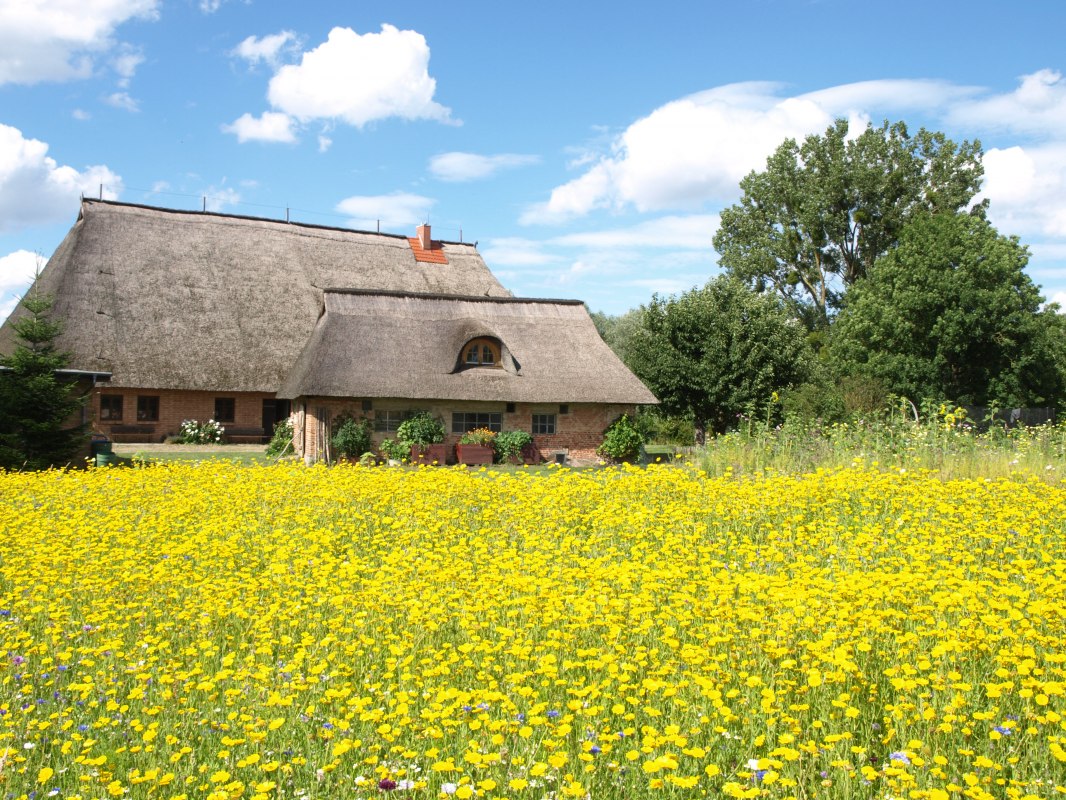 Christiansplan boerderij // © Wöhlke Christiansplan boerderij // © Wöhlke