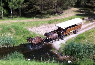 Spannend kann sie sein, die Fahrt. gehen die Tiere durch´s Wasser? // © Reit- und Fahrtourstik Lychen Spannend kann sie sein, die Fahrt. gehen die Tiere durch´s Wasser? // © Reit- und Fahrtourstik Lychen