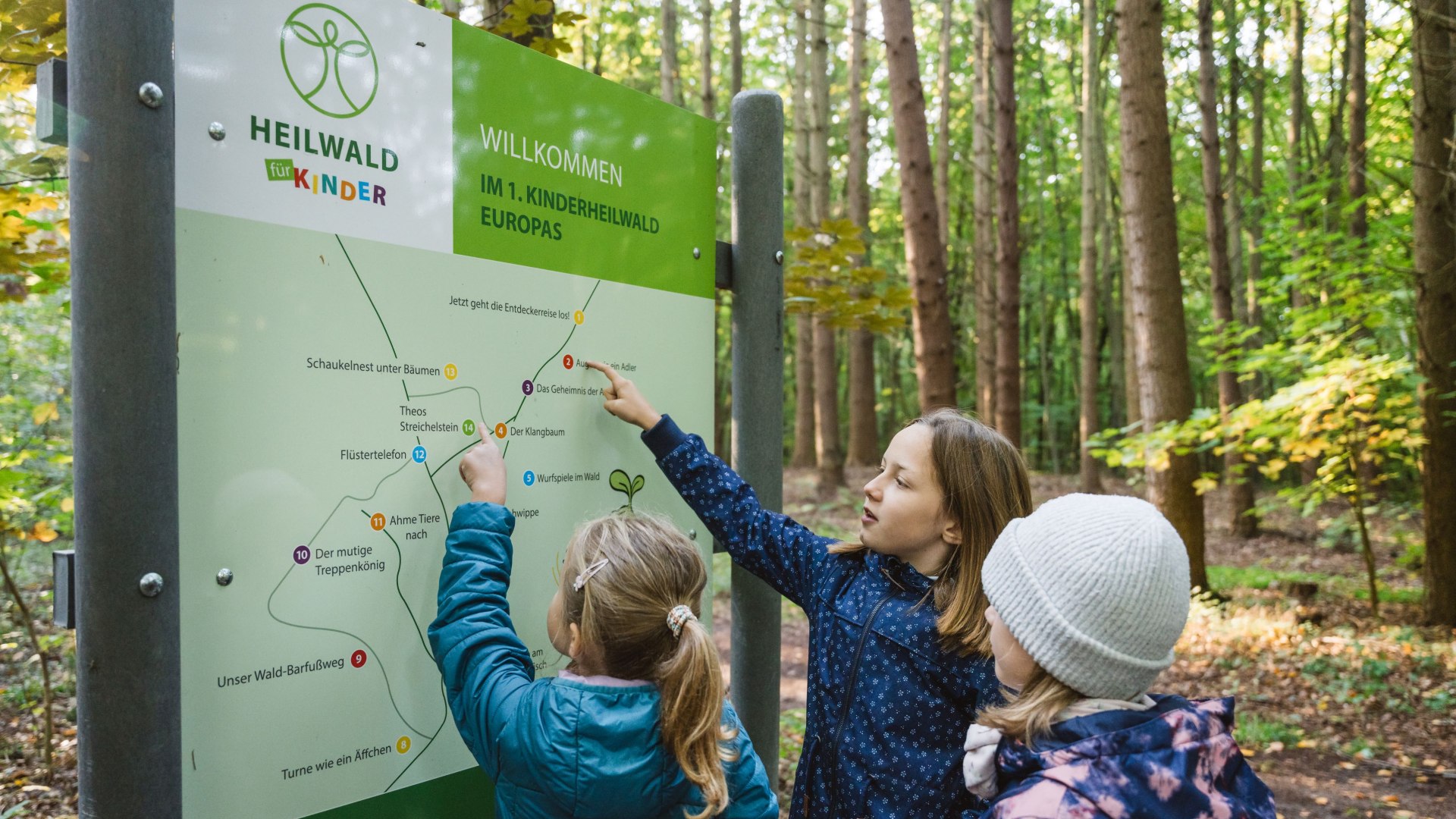 Drei Kinder stehen vor einer gro&szlig;en &Uuml;bersichtskarte im Wald, zeigen mit ihren Fingern auf verschiedene Punkte und planen ihre Route.