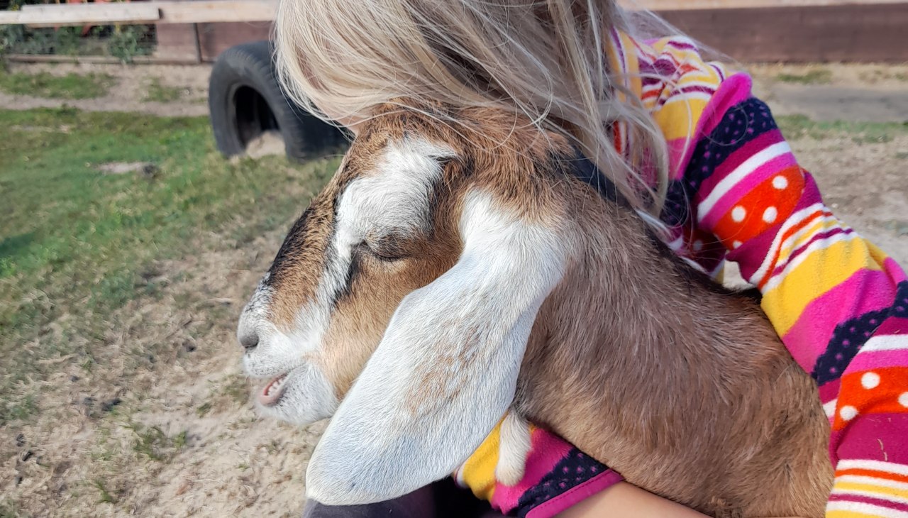 Onze kleine Burderei, © Andrea Hauser Onze kleine Burderei, © Andrea Hauser