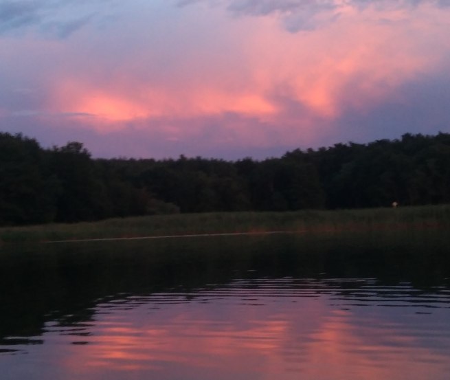 Mit Sonnenuntergang erwachen die Tiere der Nacht, © Sabine Görmar Mit Sonnenuntergang erwachen die Tiere der Nacht, © Sabine Görmar