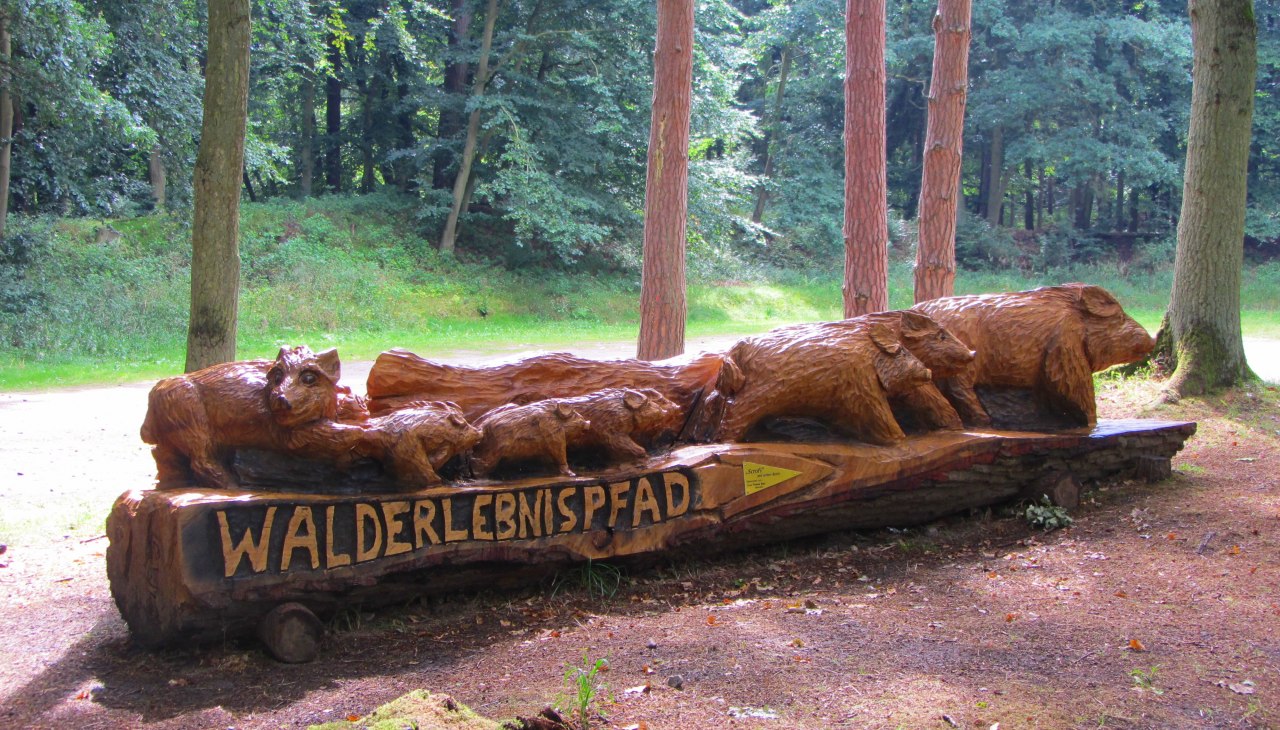 Eingang Walderlebnispfad Eingang Walderlebnispfad