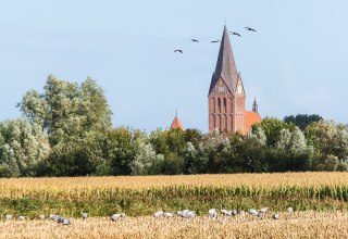 © Arndt Gläser © Arndt Gläser