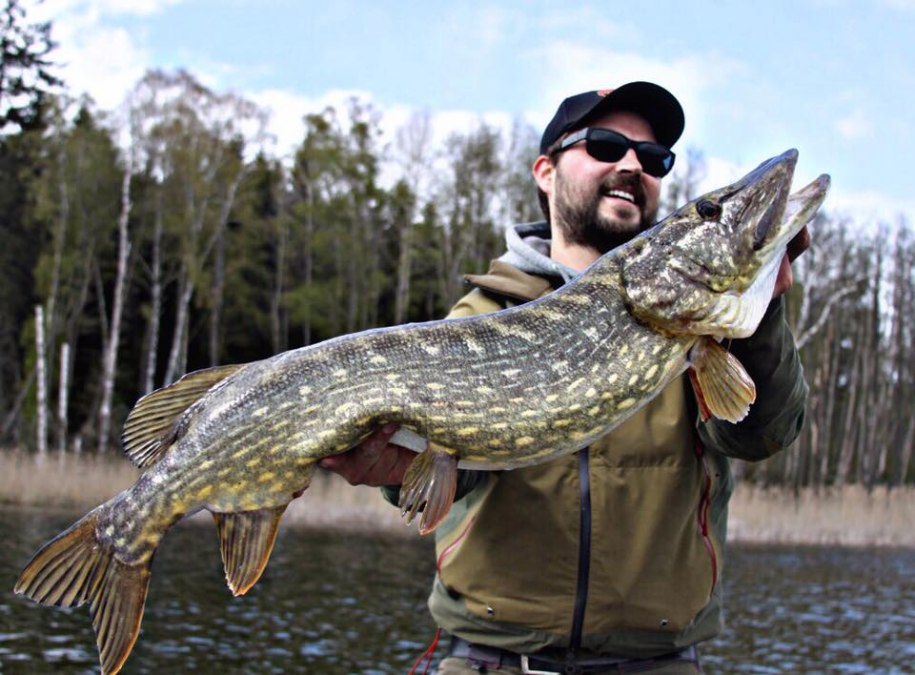 Prachtig getekende snoek uit Mecklenburg-Vorpommern, © Steven Carle Prachtig getekende snoek uit Mecklenburg-Vorpommern, © Steven Carle