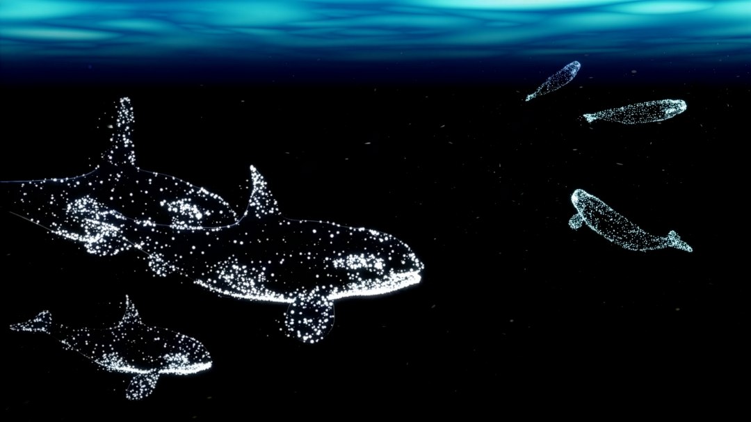 Szene aus dem immersiven Ausstellungserlebnis „Die Welt der Wale“, © halbautomaten/Deutsches Meeresmuseum Szene aus dem immersiven Ausstellungserlebnis „Die Welt der Wale“, © halbautomaten/Deutsches Meeresmuseum