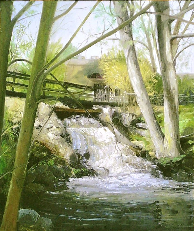 &copy; Wasserm&uuml;hle Hanshagen