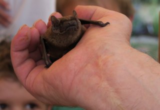 &copy; B. L&uuml;thi Herrmann