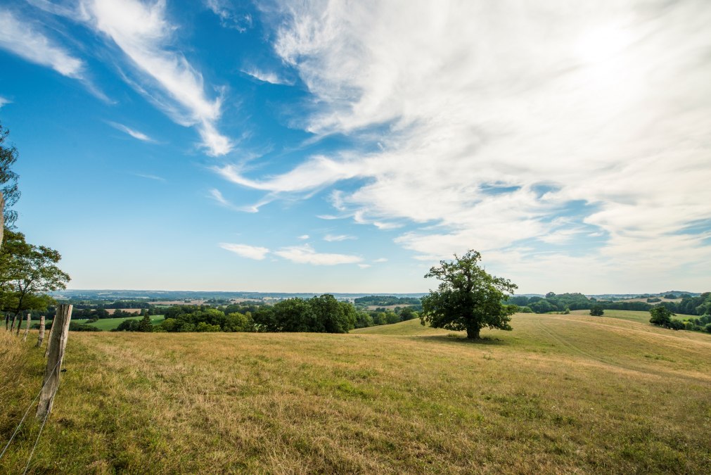 Rötelberg bei Burg Schlitz, © Christin Drühl Rötelberg bei Burg Schlitz, © Christin Drühl