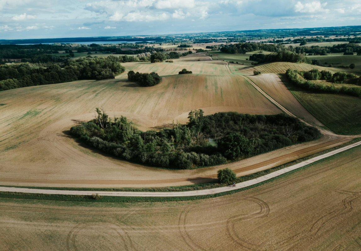 &copy; Tobisa D&ouml;rr/1000seen