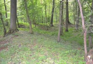 Bewaldeter Ringwall., © Lutz Werner Bewaldeter Ringwall., © Lutz Werner