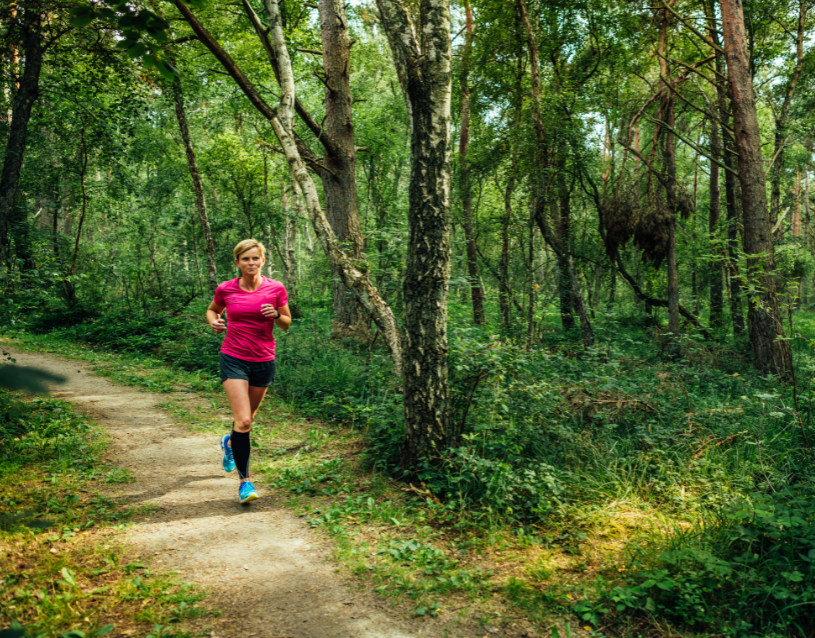 Kopie von final_Banner Fleesensee Klänge 342 &times; 175 mm.pdf.pdf (92 x 72 mm) (1), &copy; TMV/Tiemann