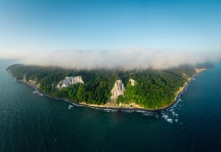 Eine beeindruckende Steilküste mit weißen Kreidefelsen, dicht bewaldeten Hängen und dem Meer im Vordergrund. // © Nationalpark-Zentrum KÖNIGSSTUHL / Dan Petermann Eine beeindruckende Steilküste mit weißen Kreidefelsen, dicht bewaldeten Hängen und dem Meer im Vordergrund. // © Nationalpark-Zentrum KÖNIGSSTUHL / Dan Petermann