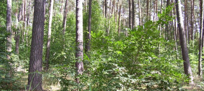 Kleine Plätze zum Staunen // © Sabine Görmar Kleine Plätze zum Staunen // © Sabine Görmar