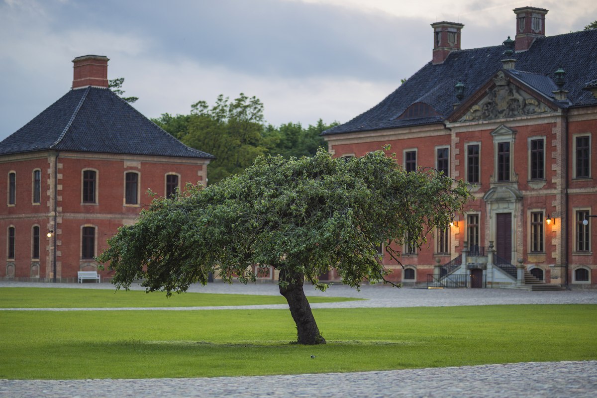 SSGK M-V Fotograf Timm Allrich, © SSGK M-V Fotograf Timm Allrich SSGK M-V Fotograf Timm Allrich, © SSGK M-V Fotograf Timm Allrich