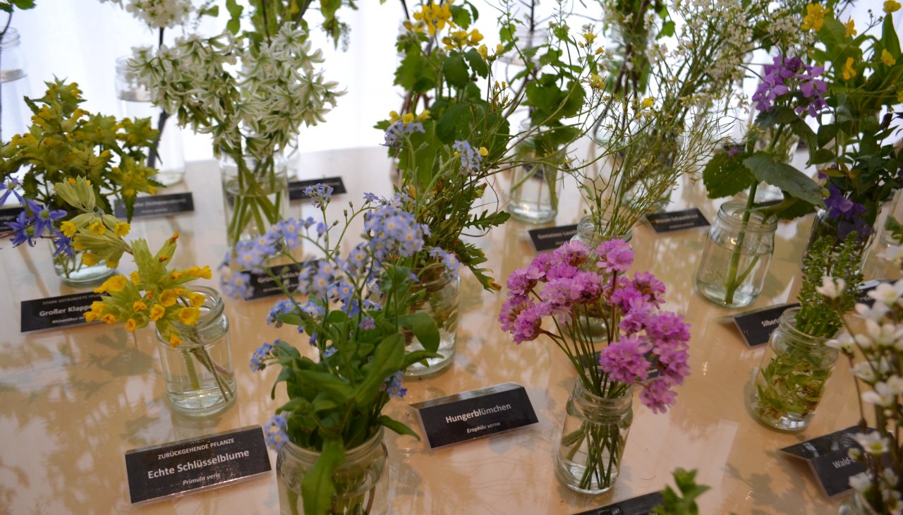 Blumentisch im Heimatmuseum, © Hafen- und Kurbetrieb Blumentisch im Heimatmuseum, © Hafen- und Kurbetrieb