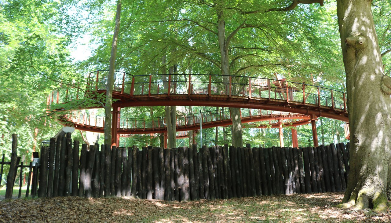 Ivenack - Baumwipfelpfad, &copy; Silke Voss