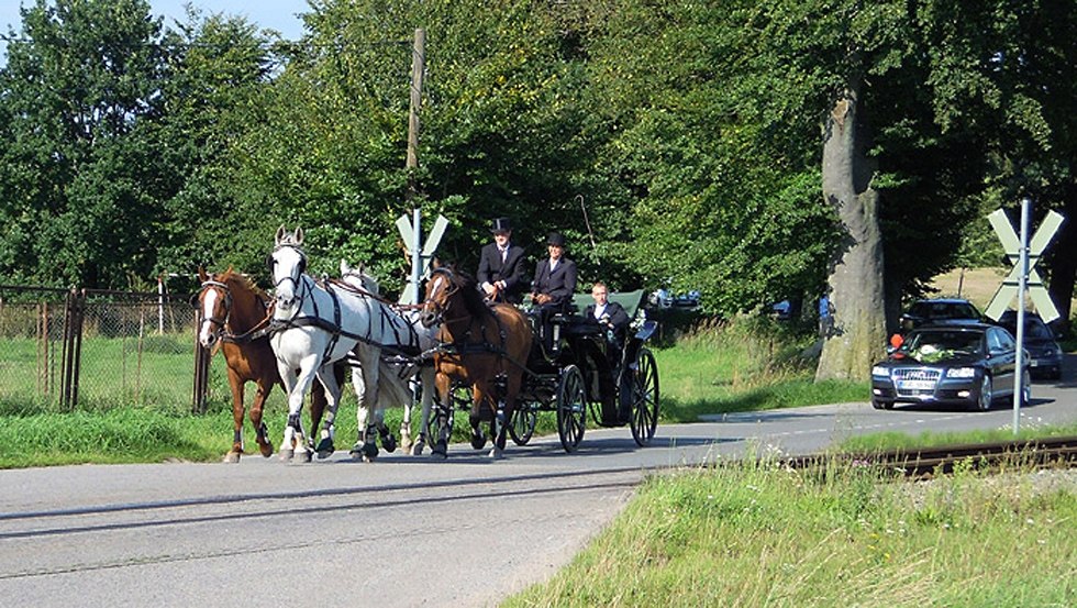 Regelmäßige Touren mit der Kutsche oder dem Kremser sind ab dem Hof-Viervitz über die Insel Rügen möglich // © Hof-Viervitz/Hermann Regelmäßige Touren mit der Kutsche oder dem Kremser sind ab dem Hof-Viervitz über die Insel Rügen möglich // © Hof-Viervitz/Hermann