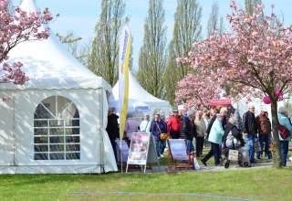 Hanseschau Wismar, &copy; Das AgenturHaus GmbH