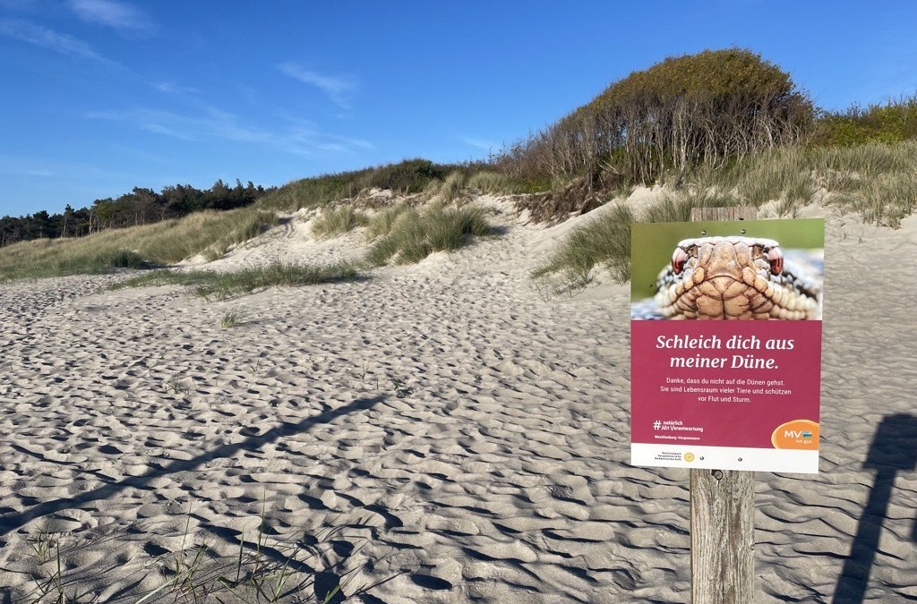 #natürlichMitVerantwortung
Danke, dass du nicht auf die Dünen gehst. Sie sind Lebensraum vieler Tiere und schützen vor Flut und Sturm. // © MV-T/Rohde #natürlichMitVerantwortung
Danke, dass du nicht auf die Dünen gehst. Sie sind Lebensraum vieler Tiere und schützen vor Flut und Sturm. // © MV-T/Rohde
