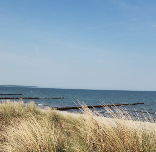Strand in Markgrafenheide // © TZRW Strand in Markgrafenheide // © TZRW