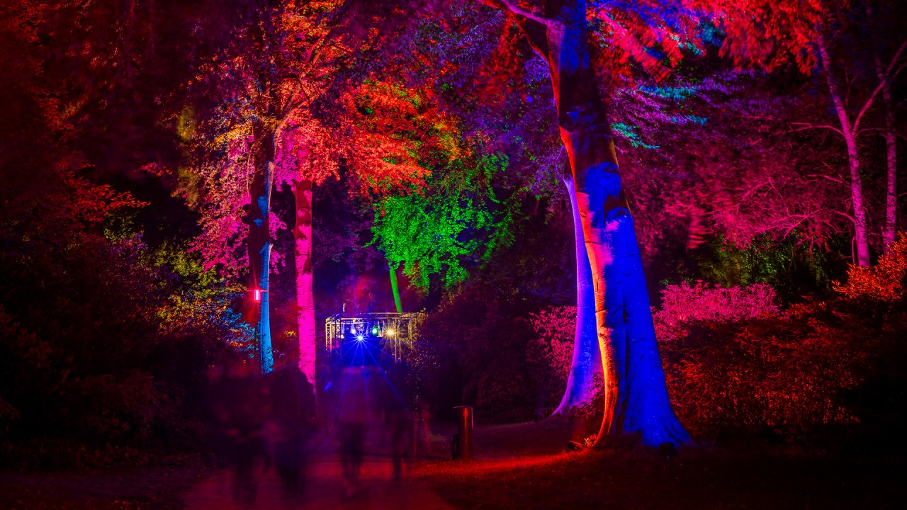"Nacht in het park" - een ontspannen licht kunstevenement // &copy; Andr&eacute; Pristaff / Tourismus- und Kur GmbH Graal-M&uuml;ritz