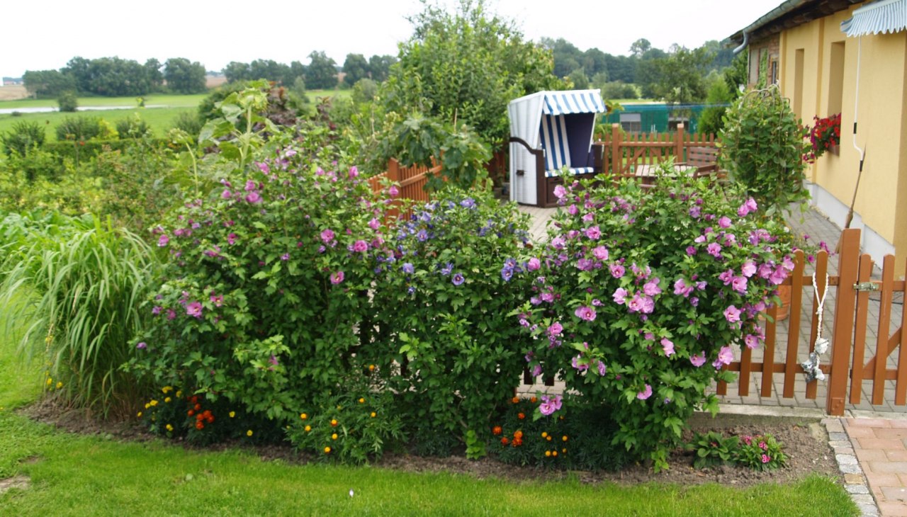 Eine gem&uuml;tliche Terrasse l&auml;dt zum Entspannen ein, &copy; Dinserhof