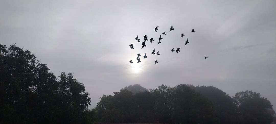 Mystische Winterwanderung, © Andreas Breuer Mystische Winterwanderung, © Andreas Breuer
