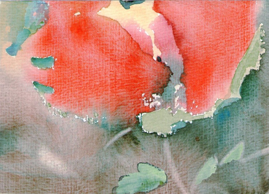 egon arnold, © egon arnold egon arnold, © egon arnold