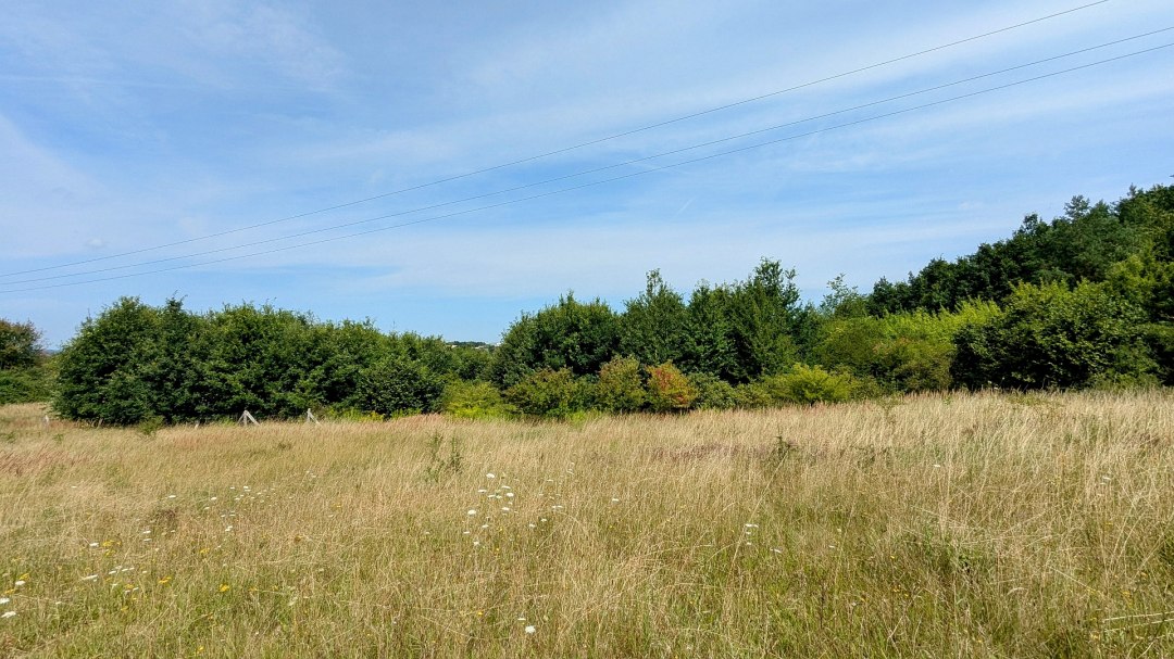 Klimawald Neubrandenburg-Nettelkuhl, &copy; Landesforst MV
