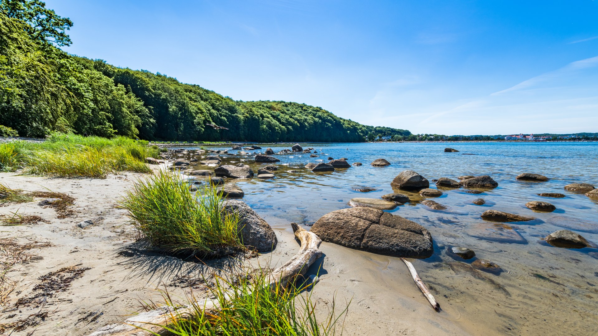 Fischerstrand neben der Ortschaft Binz auf R&uuml;gen mit Pflanzen und Steinen - der Blick aufs Wasser