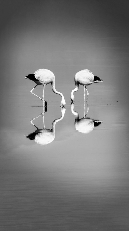 © Anke Berger © Anke Berger