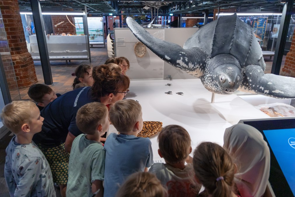 Eine Kindergruppe vor einem Schildkr&ouml;tenexponat, &copy; Anke Neumeister/Deutsches Meeresmuseum