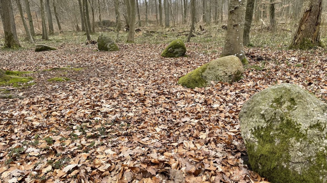 Apostelsteine 1, &copy; TZ S&uuml;dliche Boddenk&uuml;ste