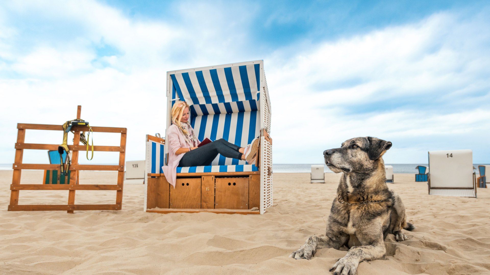 Frau liest im blau-wei&szlig;en Strandkorb am Hundestrand der Ostsee, w&auml;hrend ihr gro&szlig;er Hund entspannt im Sand liegt.