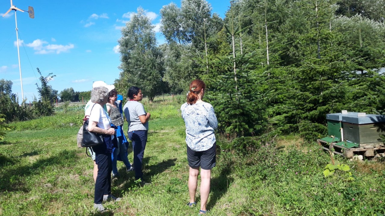 Informatieronde op de boerderij // &copy; Solawi Stralsund