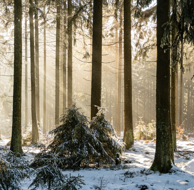 © Foto von Babette Landmesser auf Unsplash