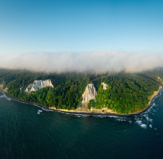 Eine beeindruckende Steilküste mit weißen Kreidefelsen, dicht bewaldeten Hängen und dem Meer im Vordergrund. // © Nationalpark-Zentrum KÖNIGSSTUHL / Dan Petermann Eine beeindruckende Steilküste mit weißen Kreidefelsen, dicht bewaldeten Hängen und dem Meer im Vordergrund. // © Nationalpark-Zentrum KÖNIGSSTUHL / Dan Petermann