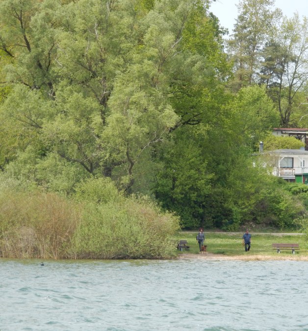 Hundebadestrand Heidenholz 2, © M.Höppner Hundebadestrand Heidenholz 2, © M.Höppner
