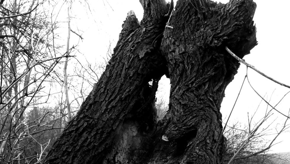 © Uwe Kurzbein © Uwe Kurzbein