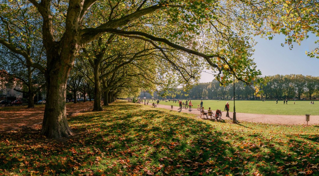 Gr&uuml;nanlage &bdquo;Jasne Błonia im. Jana Pawła II&rdquo;, &copy; Pomorze Zachodnie