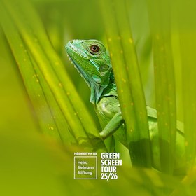 Das aktuelle Green Screen Festivalmotiv // © Dr. Lisa Röpke Das aktuelle Green Screen Festivalmotiv // © Dr. Lisa Röpke