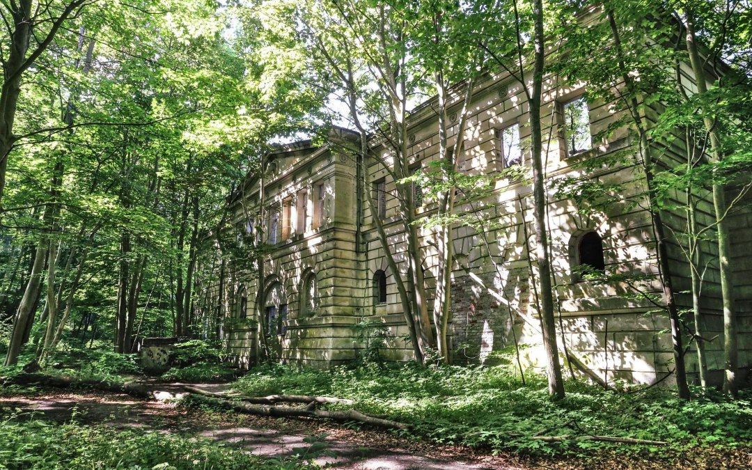 Schlossruine Dwasieden // &copy; TMV/Gohlke