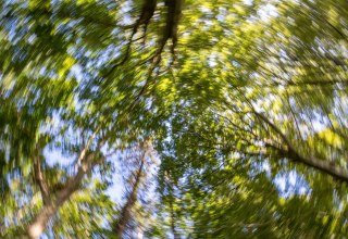 © Kurverwaltung Goehren / Martin Stoever © Kurverwaltung Goehren / Martin Stoever