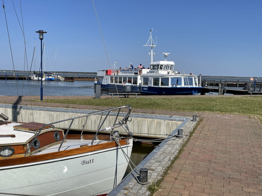 IMG_1605, &copy; TZ S&uuml;dliche Boddenk&uuml;ste