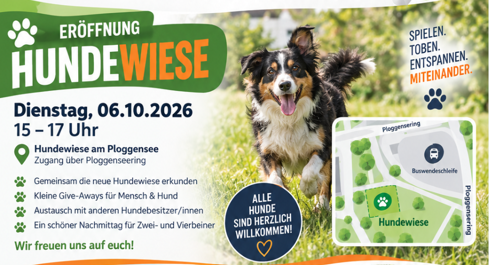 Hundewiese // © QM Hundewiese // © QM