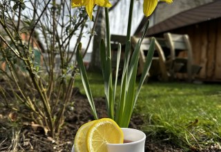 Pfingsten bei den Bernsteinreitern, © de Pfingsten bei den Bernsteinreitern, © de