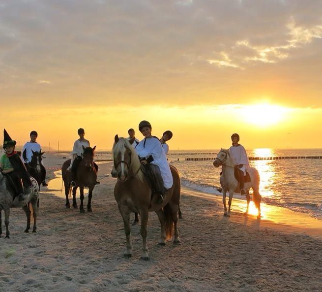 © Bernsteinreiter Hirschburg © Bernsteinreiter Hirschburg