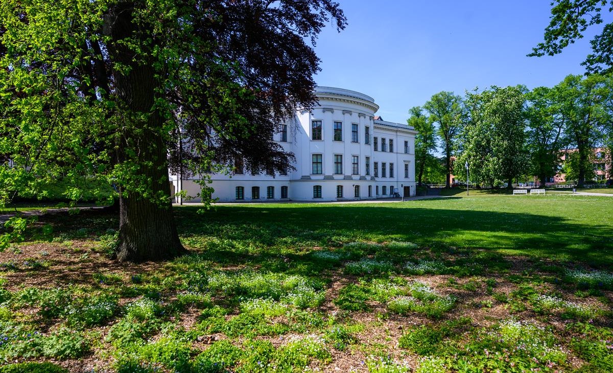 MZ7_3271 (Copy), © TI MZ7_3271 (Copy), © TI